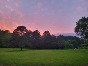 Moon Tree Rentals Sunset